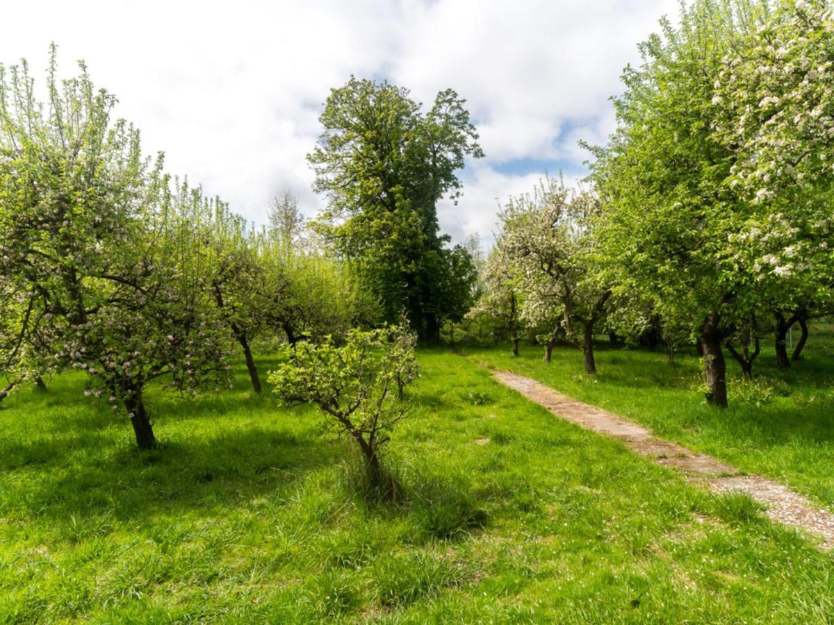 Gartenbungalow 2 Rechte Seite Klein Pravtshagen Zewnętrze zdjęcie