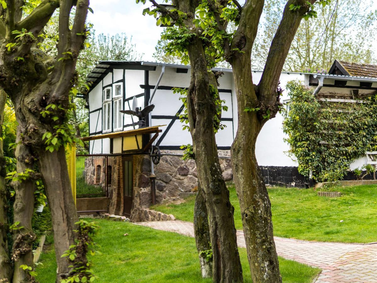 Gartenbungalow 2 Rechte Seite Klein Pravtshagen Zewnętrze zdjęcie